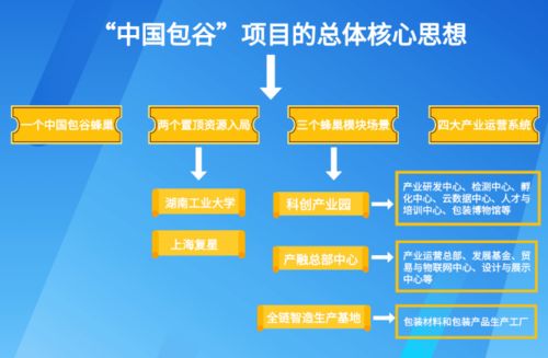 株洲推动食品与包装产业对接，亿元级标杆项目落地的全流程策划与服务实践